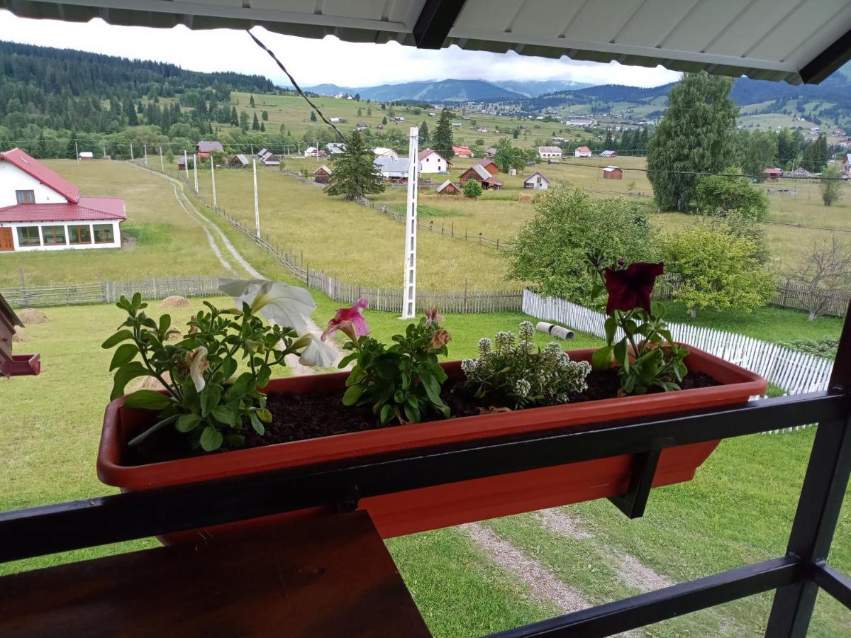 Casa Bucovina Dorna Candrenilor Ascutitele 外观 照片