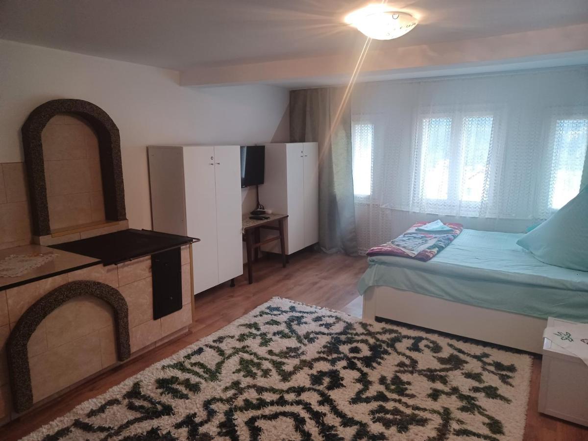Casa Bucovina Dorna Candrenilor Ascutitele 外观 照片