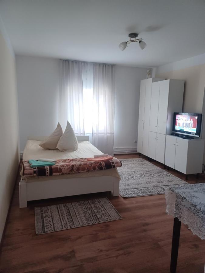Casa Bucovina Dorna Candrenilor Ascutitele 外观 照片